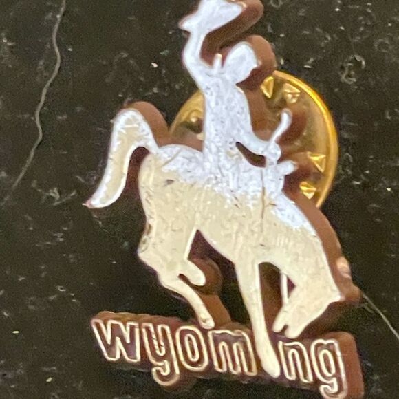 1” Fanmats NCAA Wyoming Cowboys Team logo saddle bronc rider lapel/hat pin - Picture 4 of 11